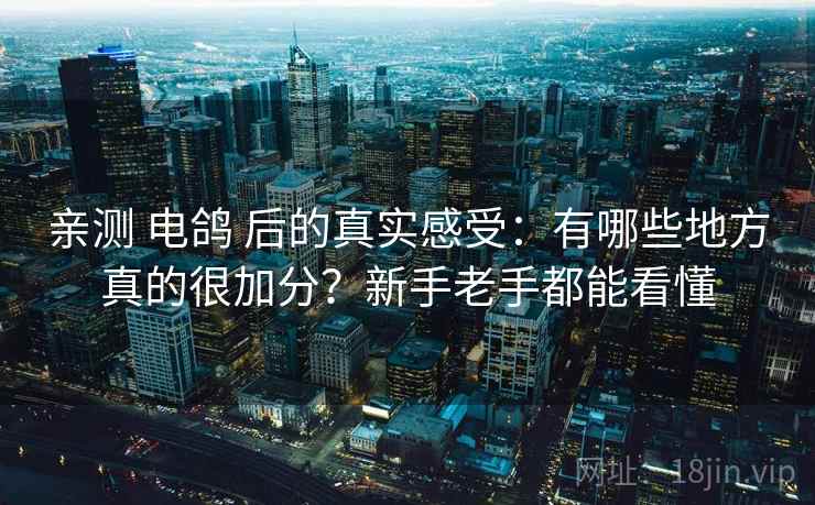 亲测 电鸽 后的真实感受：有哪些地方真的很加分？新手老手都能看懂