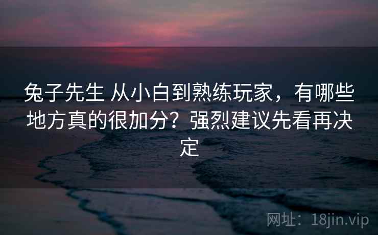兔子先生 从小白到熟练玩家，有哪些地方真的很加分？强烈建议先看再决定