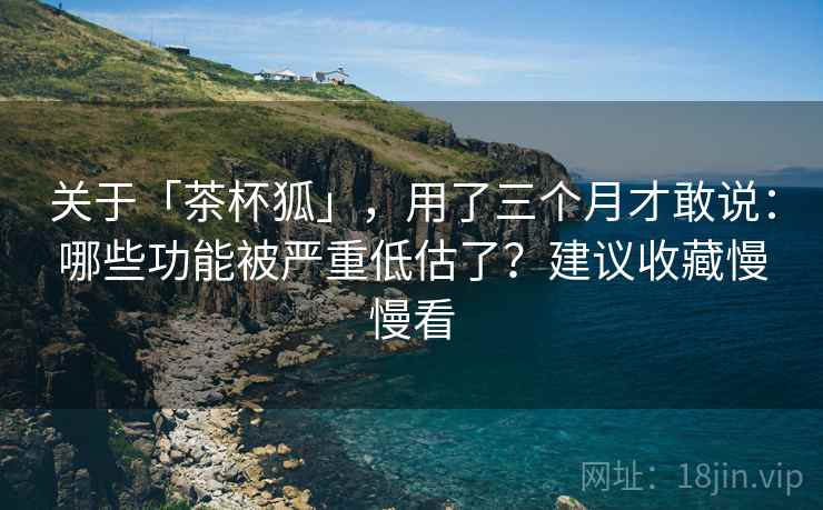 关于「茶杯狐」，用了三个月才敢说：哪些功能被严重低估了？建议收藏慢慢看