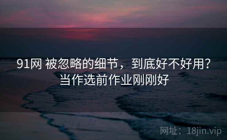 91网 被忽略的细节，到底好不好用？当作选前作业刚刚好
