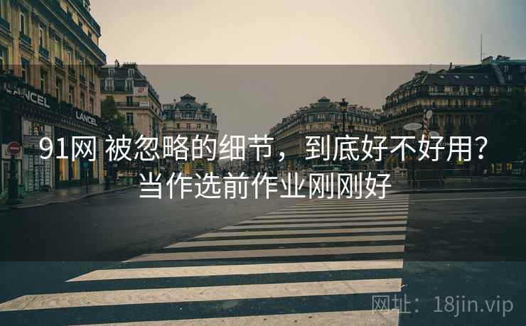 91网 被忽略的细节，到底好不好用？当作选前作业刚刚好