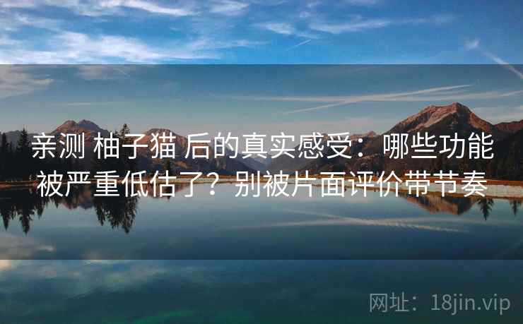 亲测 柚子猫 后的真实感受：哪些功能被严重低估了？别被片面评价带节奏