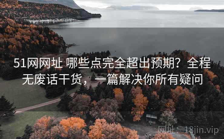 51网网址 哪些点完全超出预期？全程无废话干货，一篇解决你所有疑问