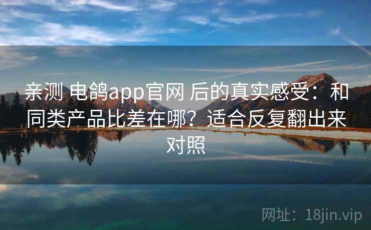 亲测 电鸽app官网 后的真实感受：和同类产品比差在哪？适合反复翻出来对照
