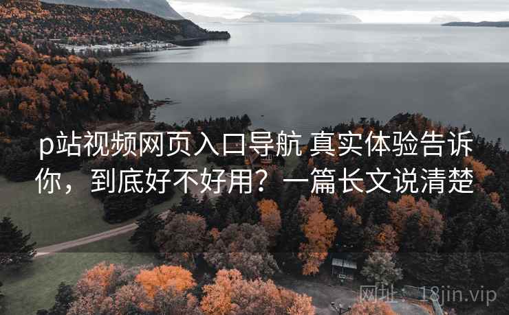 p站视频网页入口导航 真实体验告诉你，到底好不好用？一篇长文说清楚