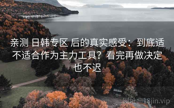 亲测 日韩专区 后的真实感受：到底适不适合作为主力工具？看完再做决定也不迟